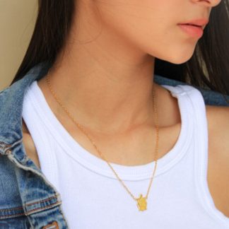 SET ARETES Y COLLAR TORTUGA